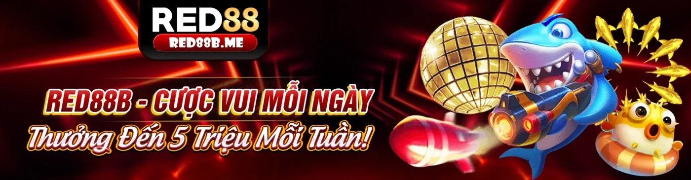 Hình ảnh tổng quan về nền tảng cá cược rubik88 win